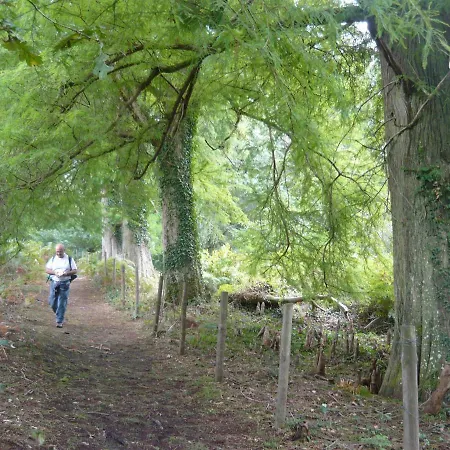 Vue Lateral Du Lägenhet Vieux-Boucau-les-Bains
